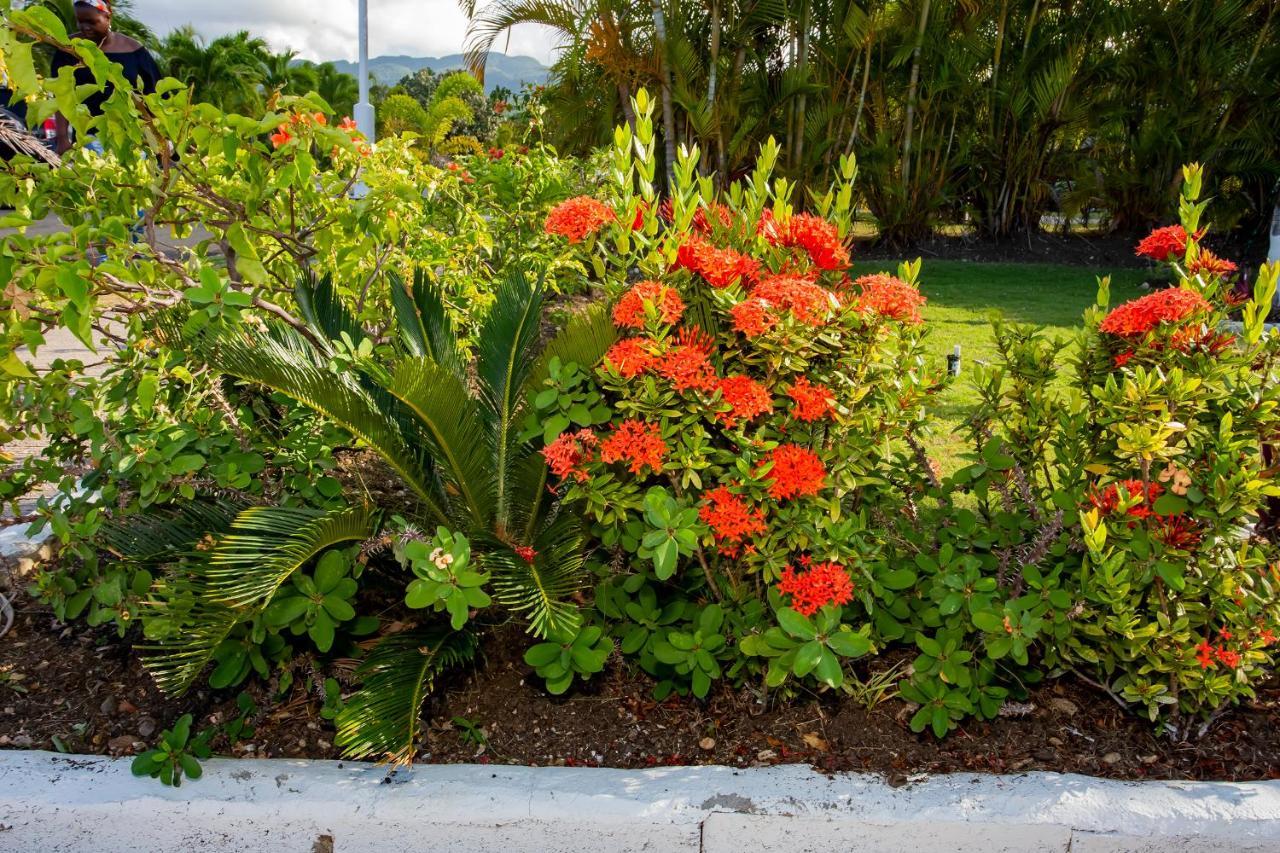 Nature'S Choice Home Richmond Palms, Jamaica Exterior foto